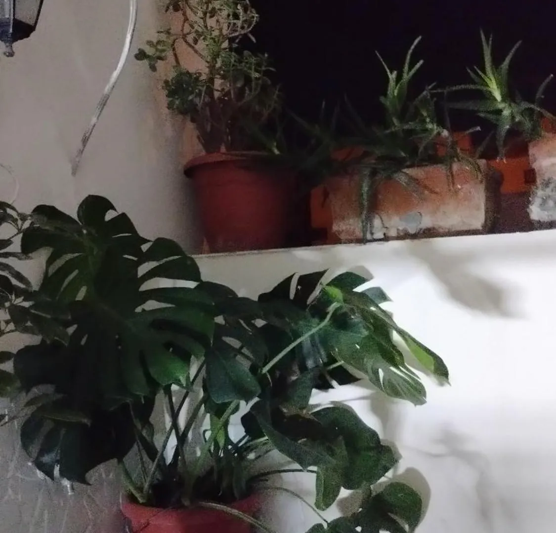 Appartamento Casa Fede Augusta