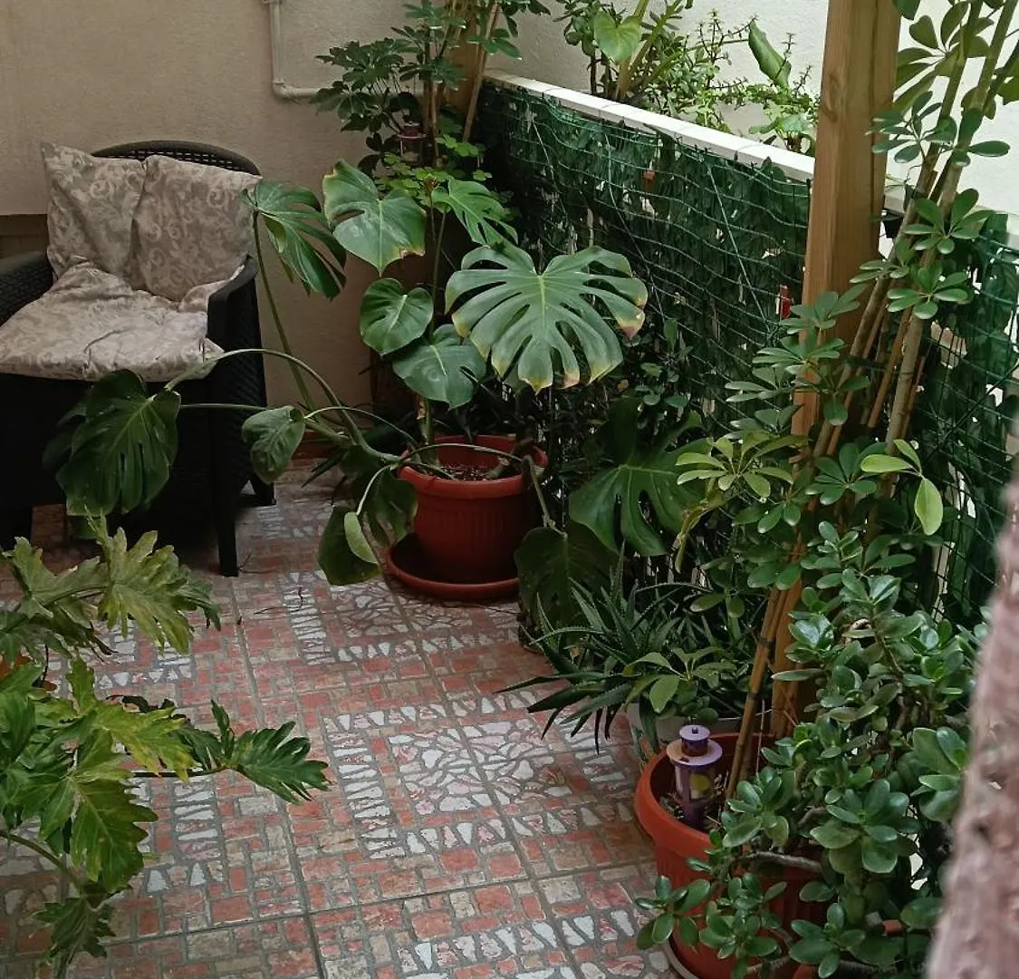 Appartamento Casa Fede Augusta